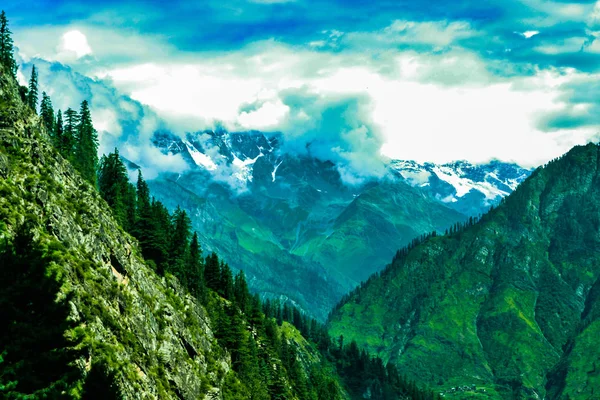 Himalaya dağlarında yürüyüş yapan Yeşil Peyzaj Ormanı, Himachel Pradesh, Hindistan