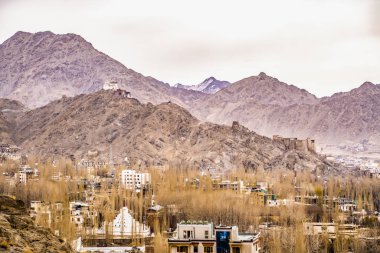 Himalayalı Leh Ladakh Köyü 'nün manzarası ve manzarası Leh Stok Sarayı' nın bakış açısından sıralanırken Jammu ve Kashmir, Hindistan 'da kış mevsimi