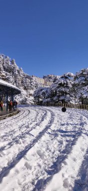 Shimla Tren İstasyonu Hindistan 'daki ilk kar yağışı sahnesi.