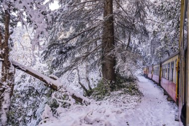 Dünya Mirası Sitesi Kalka Shimla Demiryolu..