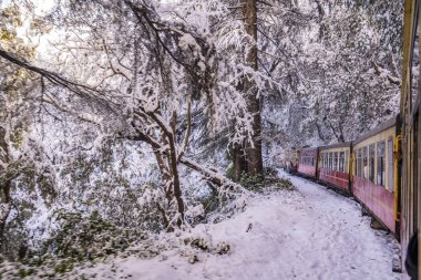 Dünya Mirası Sitesi Kalka Shimla Demiryolu..
