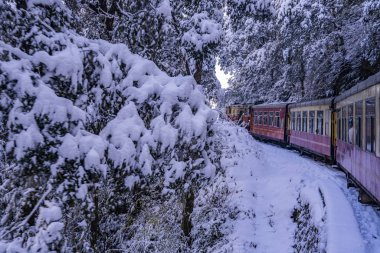 Dünya Mirası Sitesi Kalka Shimla Demiryolu..