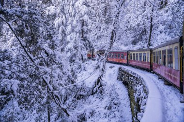 Dünya Mirası Sitesi Kalka Shimla Demiryolu..