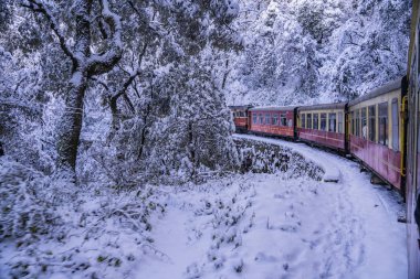 Dünya Mirası Sitesi Kalka Shimla Demiryolu..