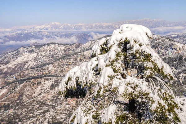 Beautiful View of Shimla City After a Snowfall — ストック写真