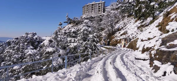 Kar yağdıktan sonra Shimla şehrinin güzel manzarası