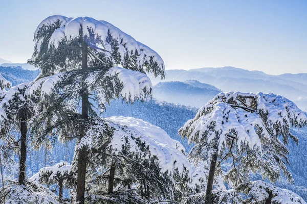 Beautiful View of Shimla City After a Snowfall 스톡 사진