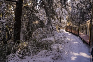 Dünya Mirası Sitesi Kalka Shimla Demiryolu..