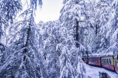 Dünya Mirası Sitesi Kalka Shimla Demiryolu..