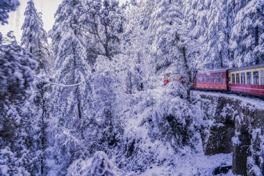 Dünya Mirası Sitesi Kalka Shimla Demiryolu..