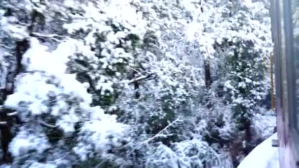 Ferrovia Kalkashimla Uma Ferrovia Bitola Estreita Norte Índia Que Atravessa — Vídeo de Stock