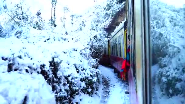 Kalkashimla Demiryolu Kuzey Hindistan Kalka Dan Shimla Uzanan Dağlık Bir — Stok video