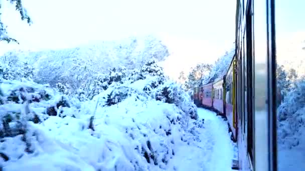 Ferrocarril Kalkashimla Ferrocarril Pies Vía Estrecha Norte India Que Atraviesa — Vídeos de Stock