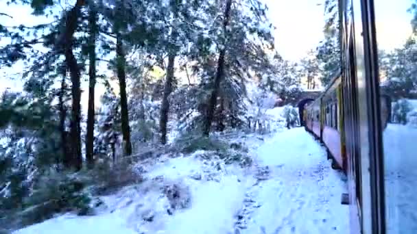 Kalkashimla Demiryolu Kuzey Hindistan Kalka Dan Shimla Uzanan Dağlık Bir — Stok video