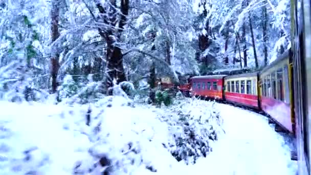 Kalkashimla Järnväg Smalspårig Järnväg Norra Indien Som Korsar Mestadels Bergig — Stockvideo