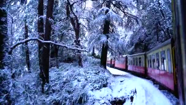 Kalkashimla Järnväg Smalspårig Järnväg Norra Indien Som Korsar Mestadels Bergig — Stockvideo