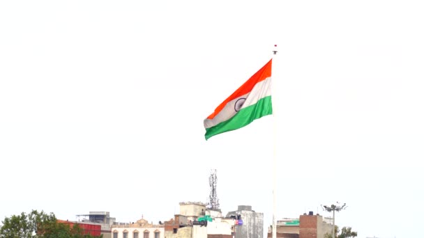 인도의 National Flag India 인도의 사프란 녹색의 직사각 삼색기이다 차크라와 — 비디오