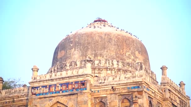 Lodi Gardens Lodhi Gardens Είναι Ένα Πάρκο Της Πόλης Που — Αρχείο Βίντεο