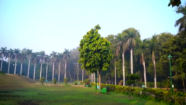 Lodi Gardens Lodhi Gardens Parque Urbano Situado Nueva Delhi India — Vídeos de Stock