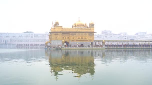 Χρυσός Ναός Στο Αμρίτσαρ Πουντζάμπ Ινδία Πιο Ιερή Εικόνα Και — Αρχείο Βίντεο