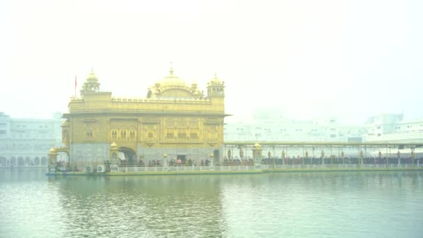 Templo Dorado Amritsar Punjab India Icono Más Sagrado Lugar Culto — Vídeo de stock