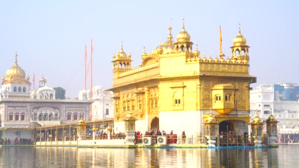 Templo Dorado Amritsar Punjab India Icono Más Sagrado Lugar Culto — Vídeos de Stock