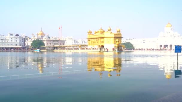 Det Gyllene Templet Amritsar Punjab Indien Den Heligaste Ikonen Och — Stockvideo