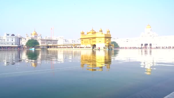 Templo Dorado Amritsar Punjab India Icono Más Sagrado Lugar Culto — Vídeo de stock