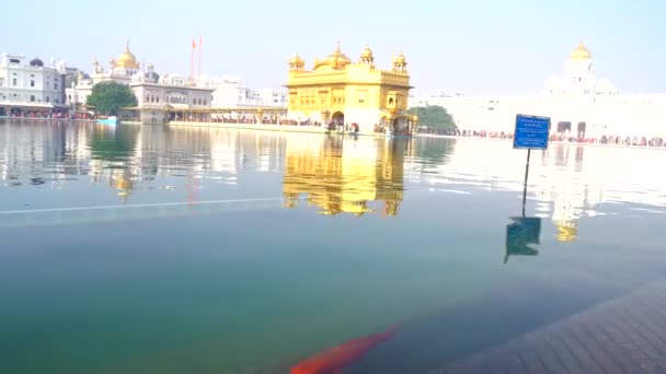 Templo Ouro Amritsar Punjab Índia Ícone Mais Sagrado Lugar Culto — Vídeo de Stock