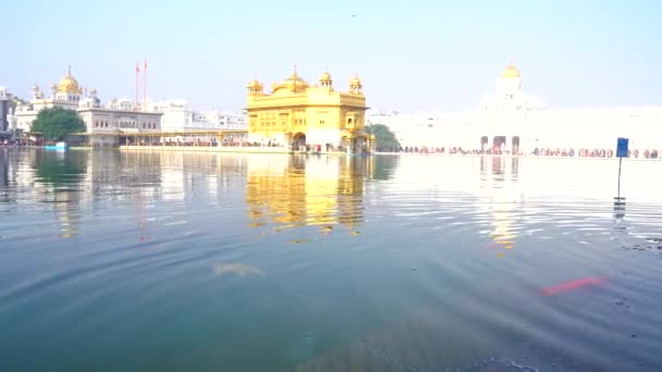 Templo Ouro Amritsar Punjab Índia Ícone Mais Sagrado Lugar Culto — Vídeo de Stock