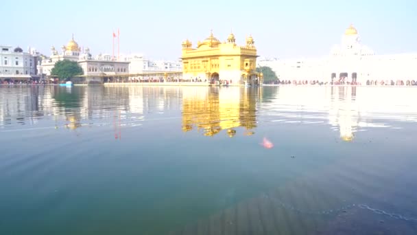 Det Gyllene Templet Amritsar Punjab Indien Den Heligaste Ikonen Och — Stockvideo