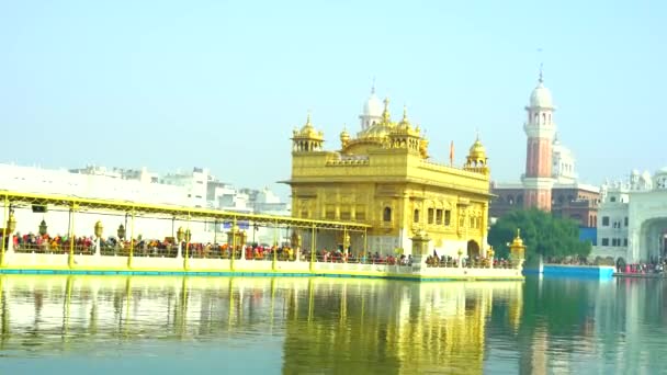 Templo Dorado Amritsar Punjab India Icono Más Sagrado Lugar Culto — Vídeos de Stock