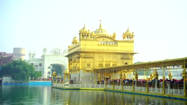 位于印度旁遮普邦Amritsar的黄金圣殿是锡克教最神圣的象征和礼拜场所 — 图库视频影像