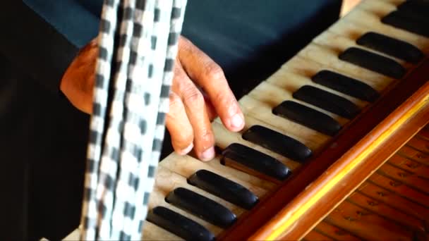 Närbild Bild Traditionella Musikinstrument Harmonium Spela Ludhiana Punjab Indien — Stockvideo