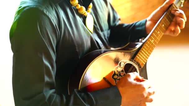 Gros Plan Sur Les Mains Homme Jouant Guitare Ludhiana Penjab — Video