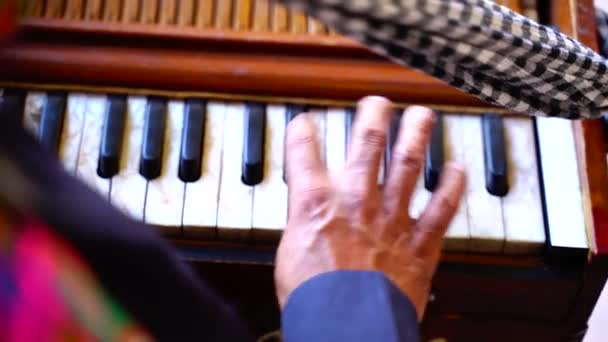 Primer Plano Instrumentos Musicales Tradicionales Tocando Armonio Ludhiana Punjab India — Vídeo de stock