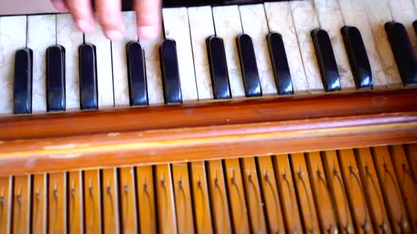 Close Instrumentos Musicais Tradicionais Harmônio Tocando Ludhiana Punjab Índia — Vídeo de Stock