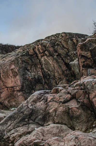 Vahşi Sonbahar Ormanı