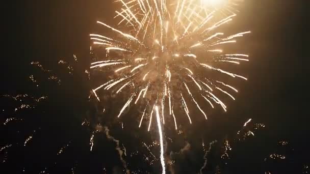 Festival nocturno de fuegos artificiales — Vídeo de stock