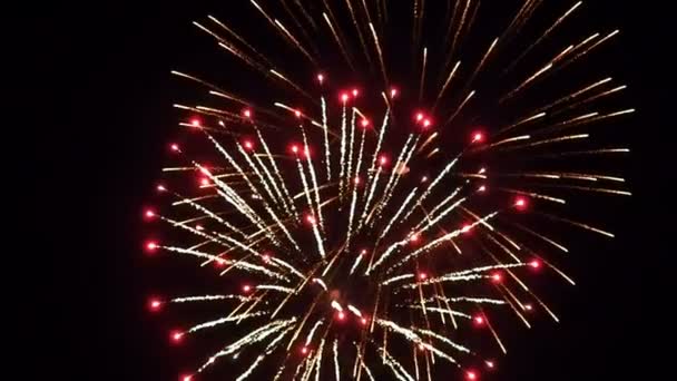 Fogos de artifício de férias no céu noturno — Vídeo de Stock