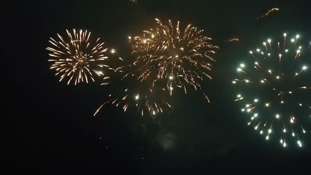 Nächtliches Feuerwerk — Stockvideo