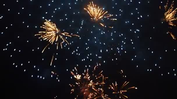 Buntes Feuerwerk am Nachthimmel — Stockvideo