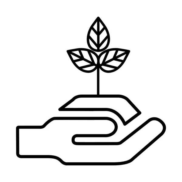 Conservação de plantas ilustração design — Vetor de Stock
