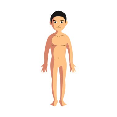 genç çocuk vücudu anatomisi