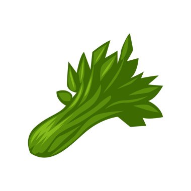 kereviz renk illüstrasyon tasarımı