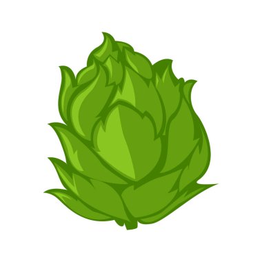 marul renk illüstrasyon tasarımı