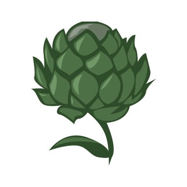 enginar renk illüstrasyon tasarımı