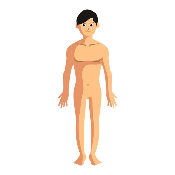 Adam gövde anatomi illüstrasyon tasarımı — Stok Vektör