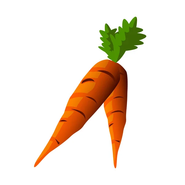Desain ilustrasi warna wortel - Stok Vektor