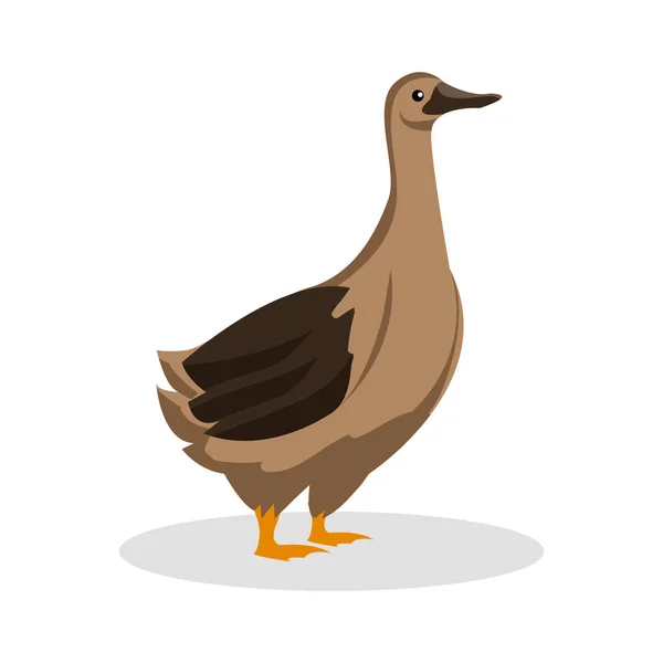 Goose färg illustration design — Stock vektor